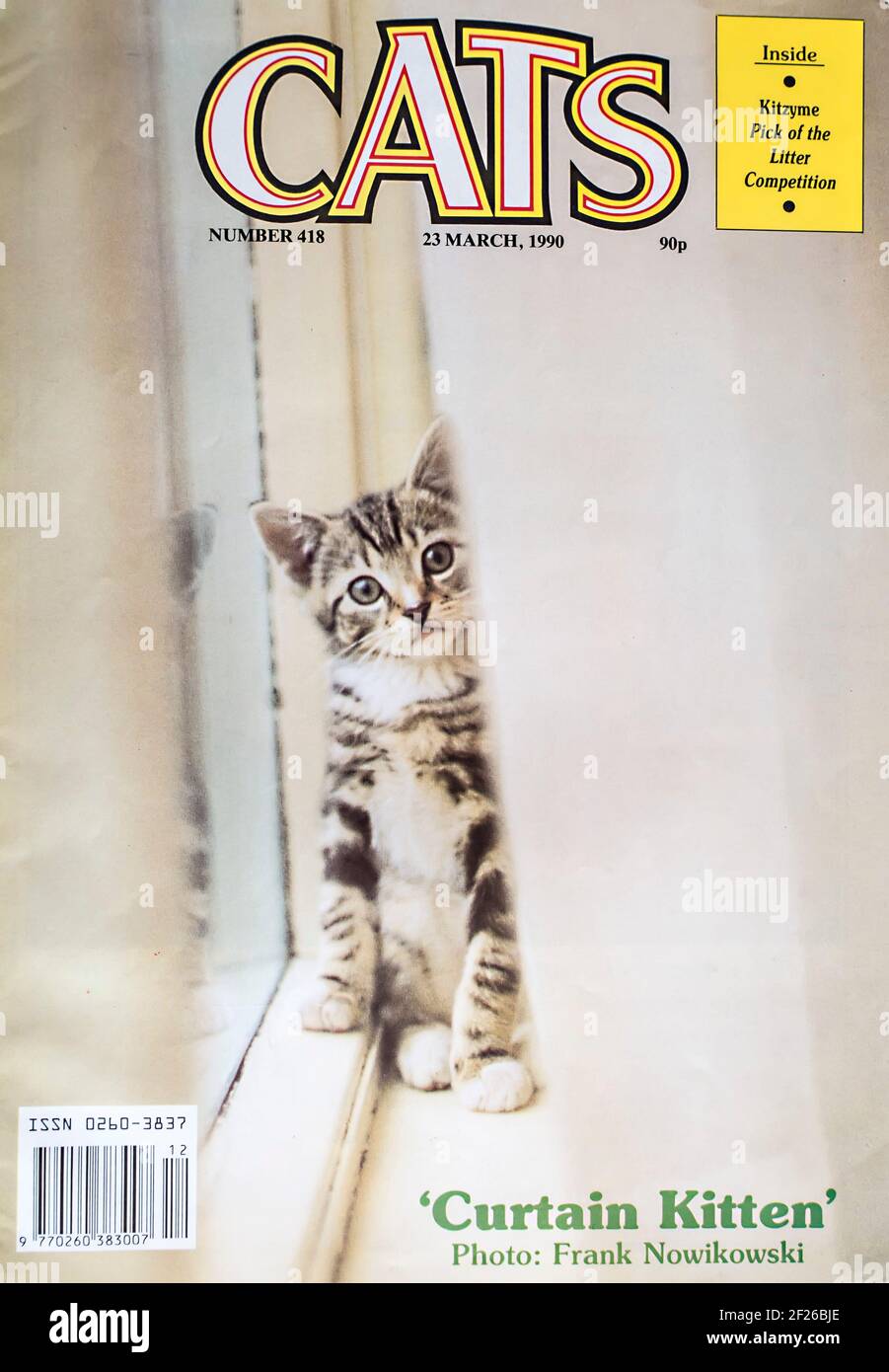 Chaton sur la couverture du magazine Banque D'Images