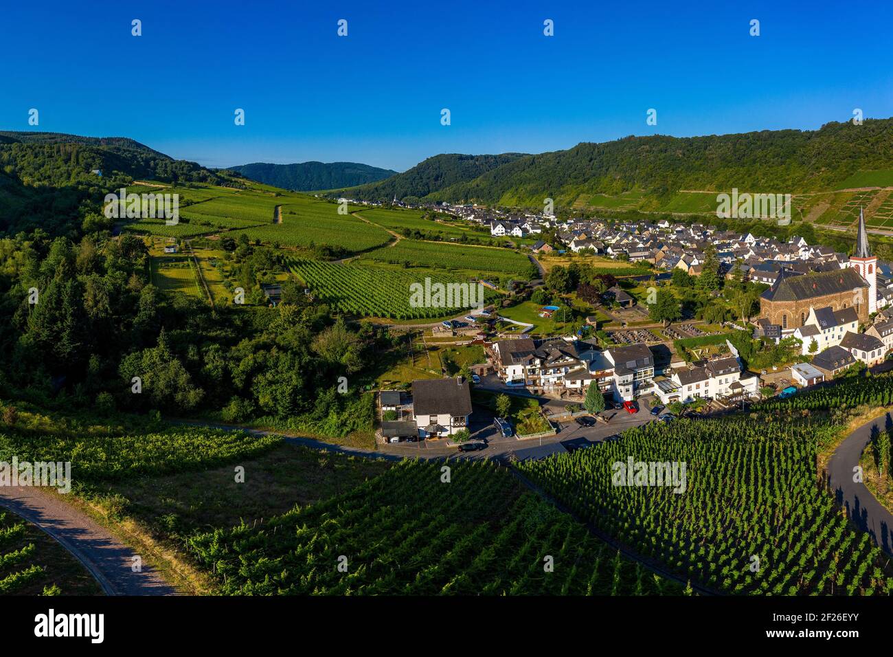 Vue panoramique sur les vignobles de la Moselle près de Bruttig-Fankel, Allemagne. Créé à partir de plusieurs images pour créer une image panoramique. Banque D'Images