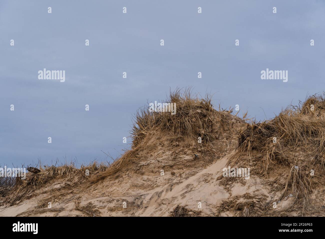 Gros plan des dunes de sable contre un ciel sombre à Montauk Banque D'Images