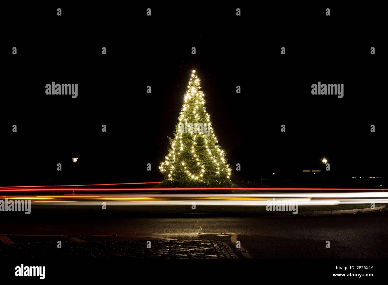 Arbre de Noël dans le Parc, décoré avec des lumières et des sentiers de lumière autour, arbre de Noël, joyeux, feux de voiture, lumineux, rond-point, longue exposition Banque D'Images