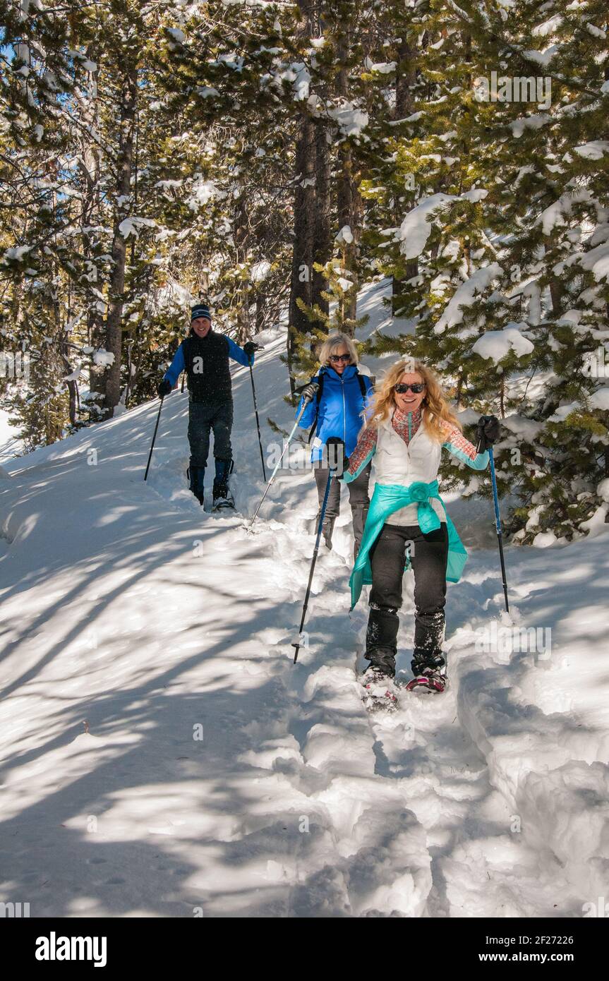 Raquettes saines et actives pour les aînés dans le parc national de Yellowstone. Hiver neige landscapes. Amis trekking dans la neige ensemble. Raquettes. Banque D'Images