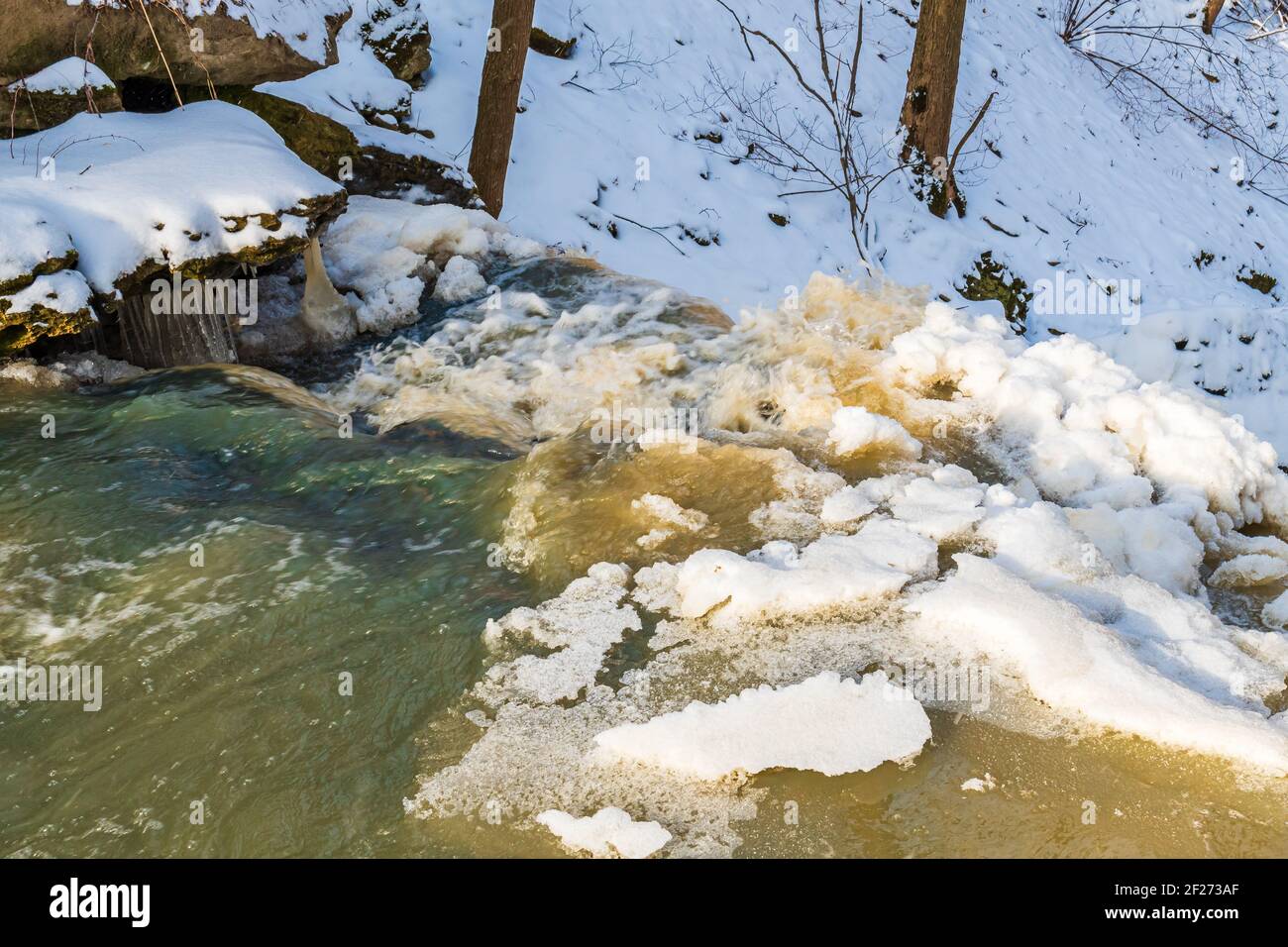 Zone de conservation de Louth Falls Escarpment du Niagara Jordan Ontario Canada in hiver Banque D'Images