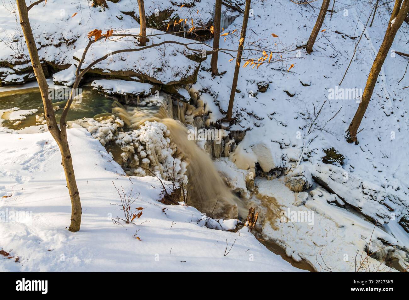 Zone de conservation de Louth Falls Escarpment du Niagara Jordan Ontario Canada in hiver Banque D'Images