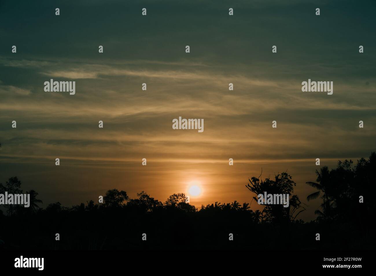 Le soleil a été vu à mi-chemin dans l'horizon occidental, glissant dans les arbres qui étaient de plus en plus sombres. Banque D'Images