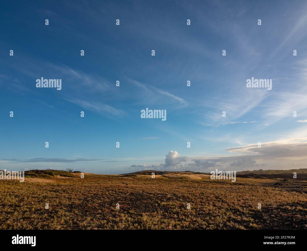 La Savane des pétrifications est située dans le sud de la Martinique, sur la commune de Sainte-Anne. Banque D'Images