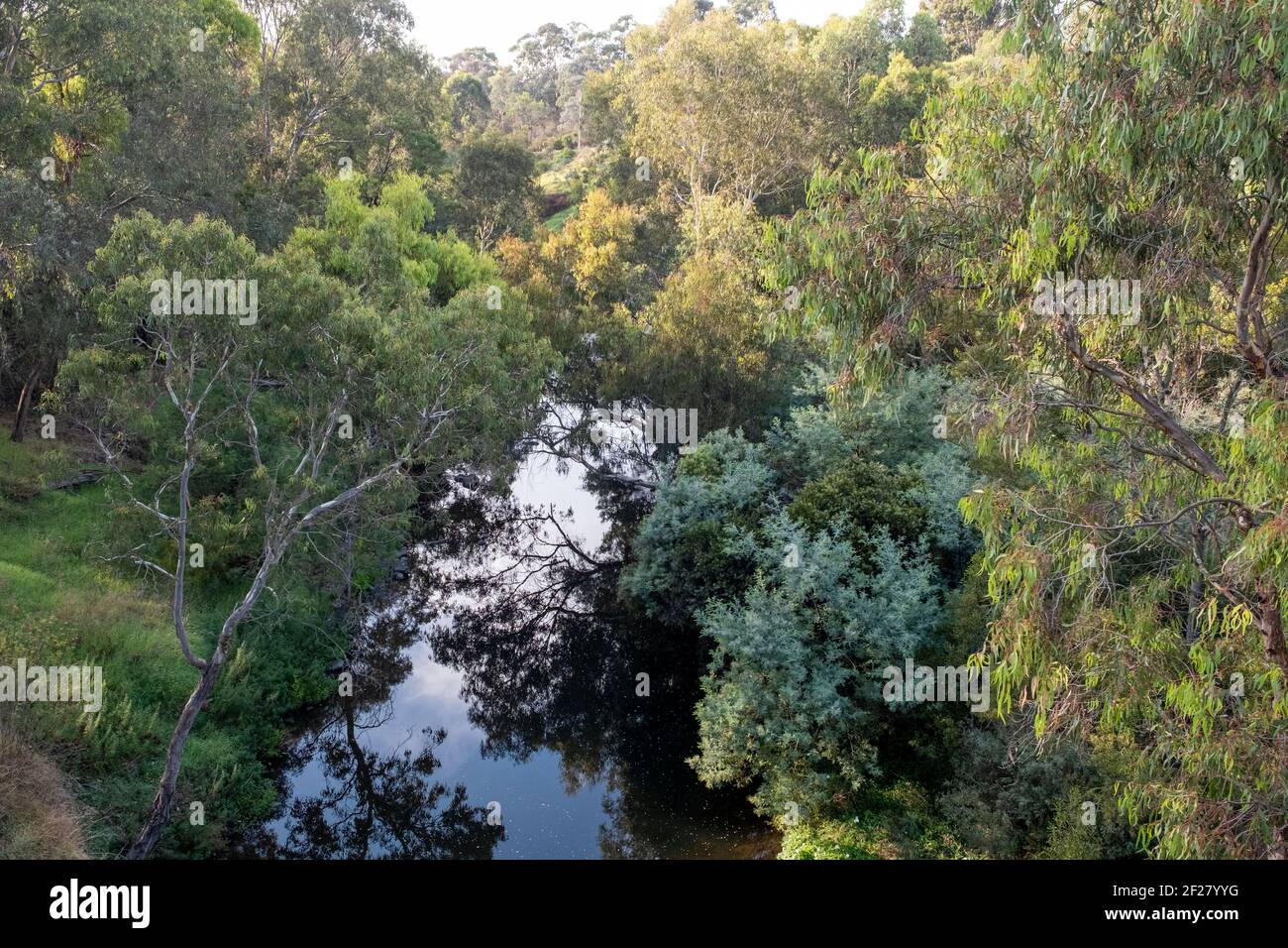 Merri Creek traversant la réserve Hall à Clifton Hill et Fairfield, Melbourne, Victoria, Australie. Banque D'Images