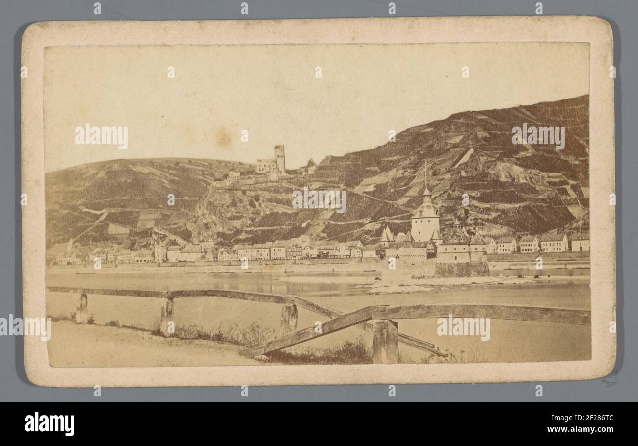 Feuillage et Palatinat .. Banque D'Images