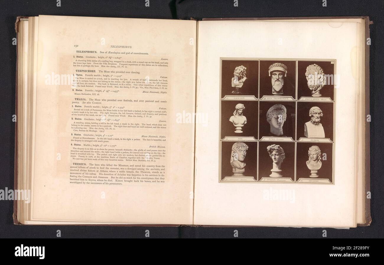 Neuf moulages de bustes antiques, dont Isis, Apollon, Ariadne et Juno Ludovisi .. Banque D'Images