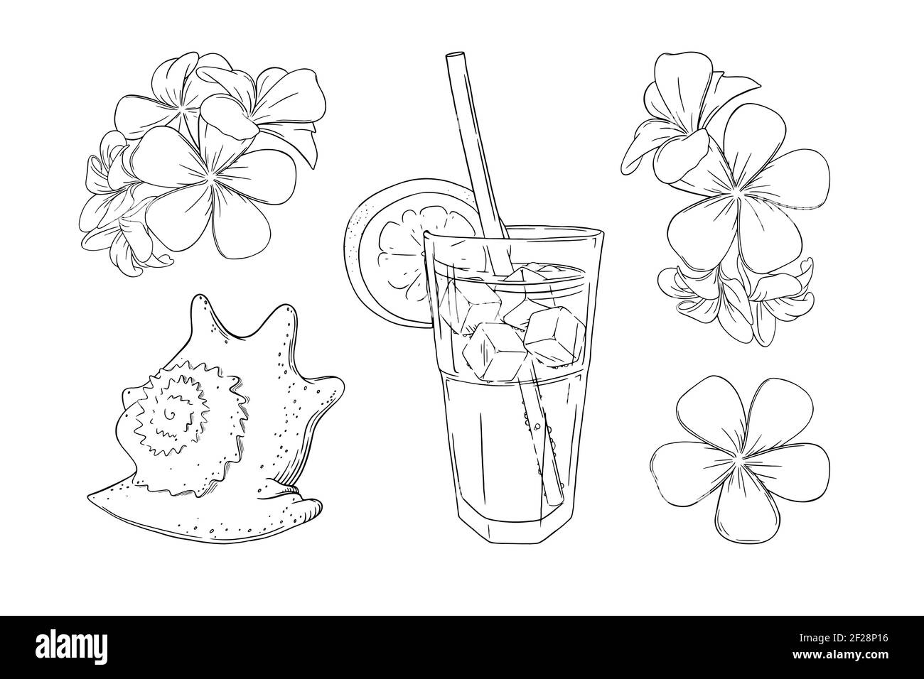 Ensemble cocktail, fleurs et coquillages. Vacances en mer avec cocktails isolés sur fond blanc. Illustration vectorielle Illustration de Vecteur