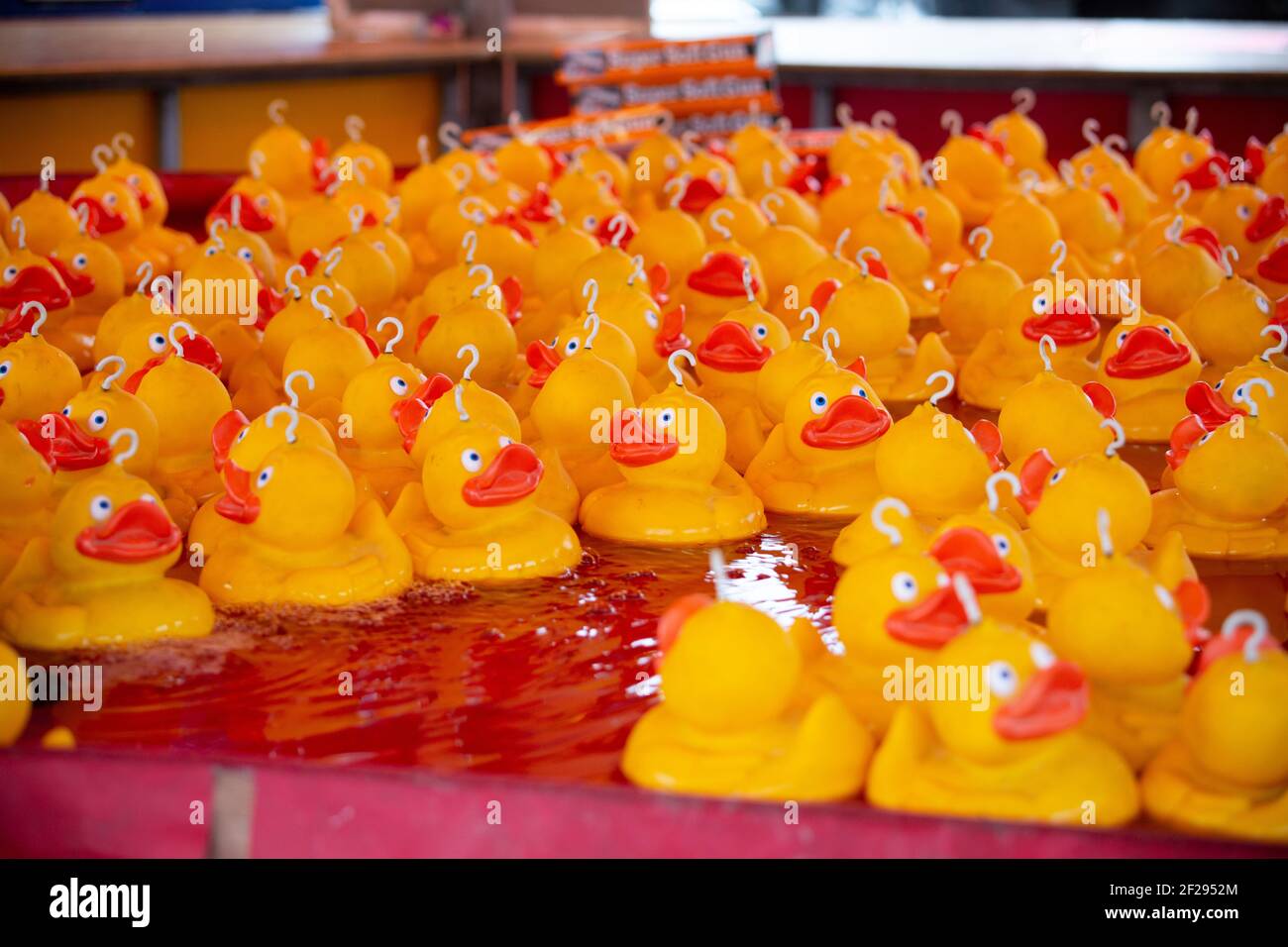 Jeu de carnaval Ducky en caoutchouc à la foire de Lammas Auld, Ballycastle, Moyle, comté d'Antrim, Irlande du Nord, ROYAUME-UNI Banque D'Images