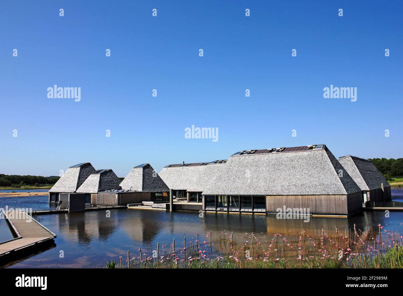 Réserve naturelle de Brockholes près de Preston, Lancashire. Propriété et gestion par la Wildlife Trust pour Lancashire, Manchester et North Merseyside. Banque D'Images