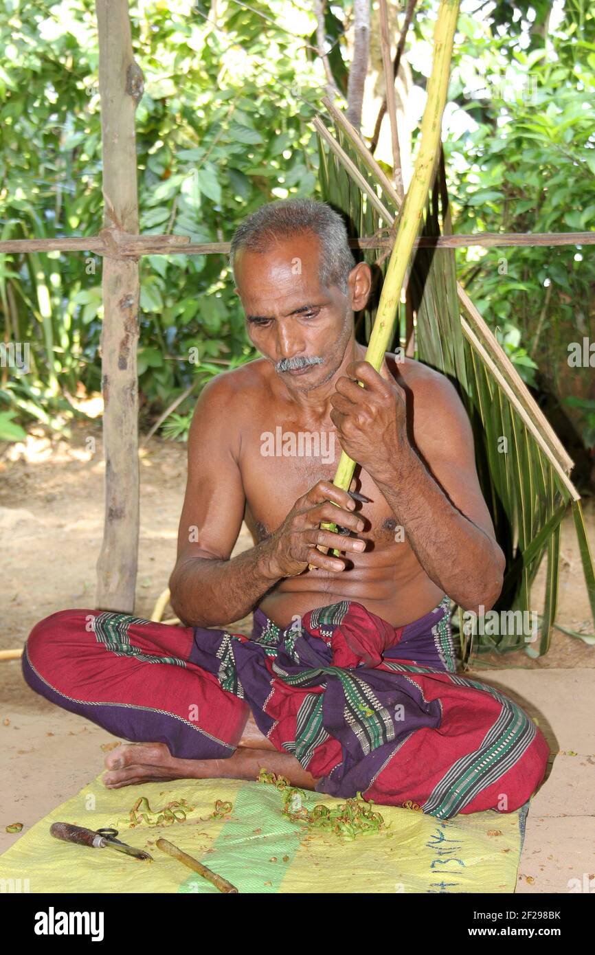 Sri Lankan homme rasant l'écorce externe de cannelle sur l'île Cinnamon ‘Kurundu Doowa’, Maduganga a.k.a. rivière Madu Banque D'Images