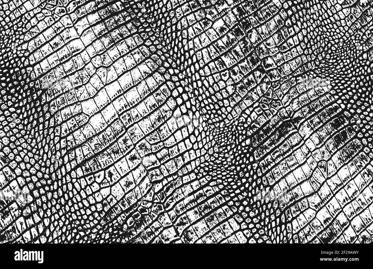 Texture de recouvrement en peau de crocodile ou de serpent, arrière-plan grunge. Illustration vectorielle abstraite de demi-teinte Illustration de Vecteur