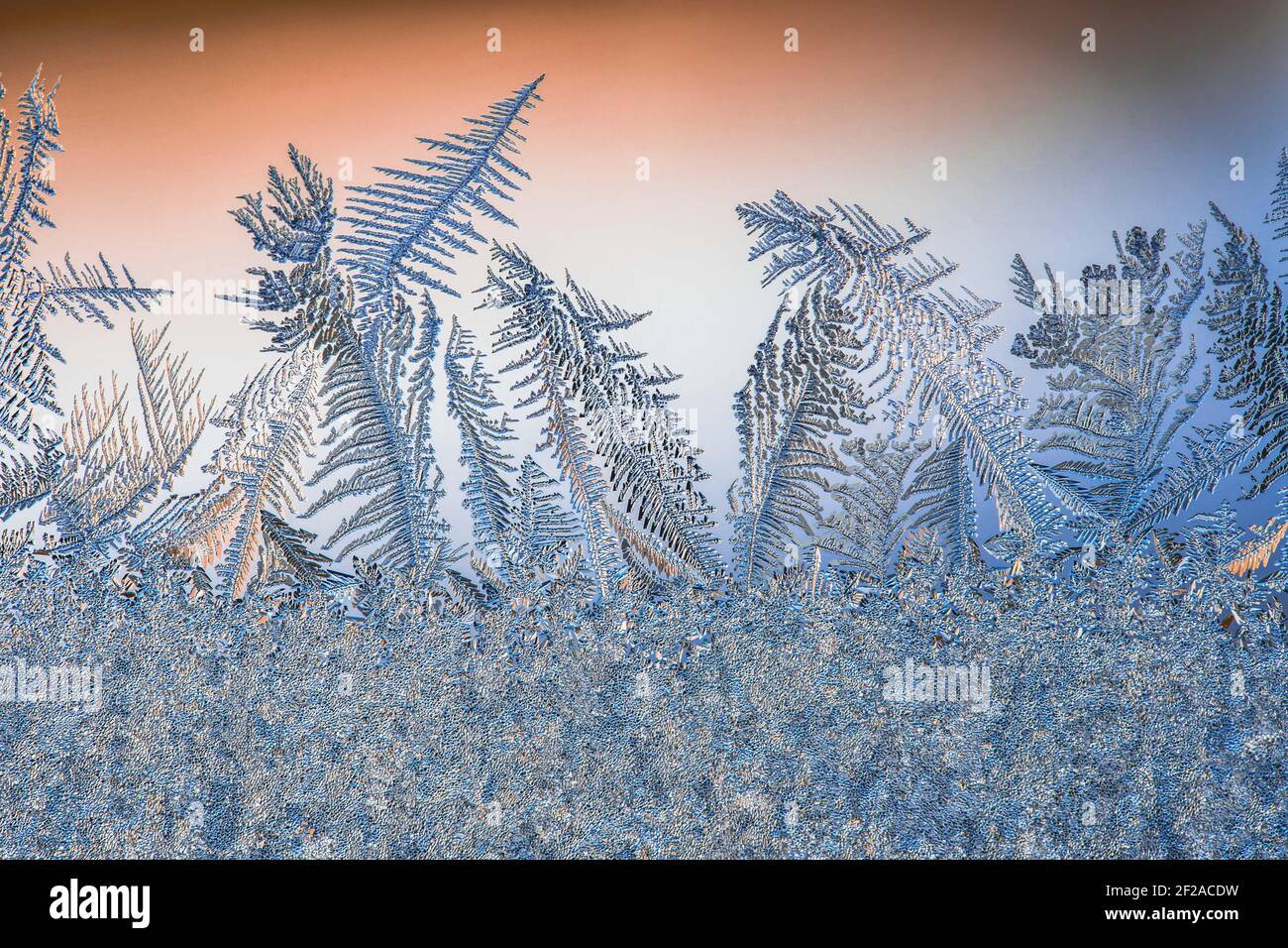 Motifs de givre sur le verre en hiver. Art. Cristal eau surgelée Banque D'Images