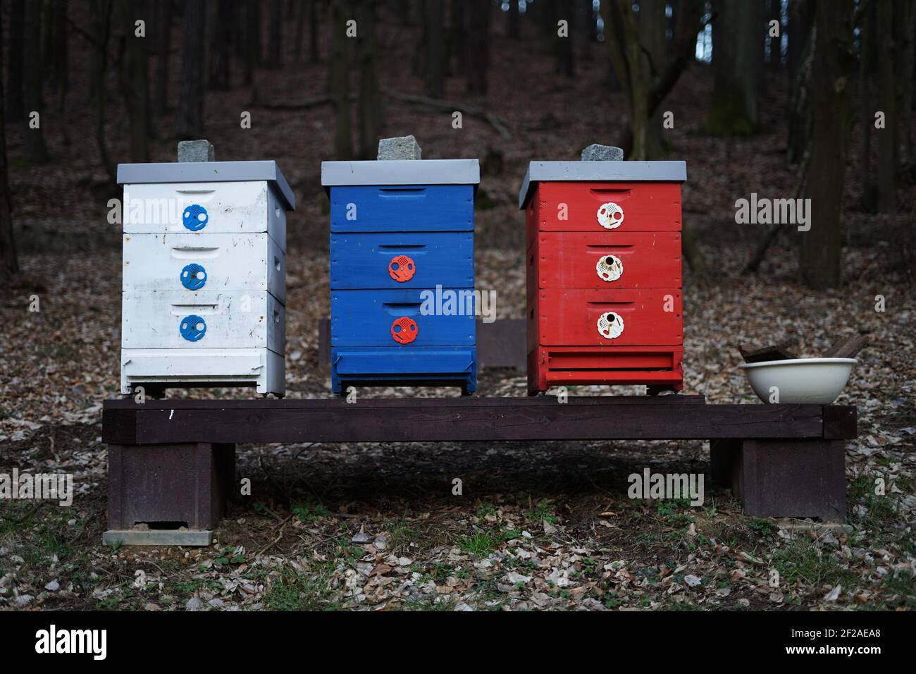Ruches en bois colorées en forêt pour faire du miel sombre et savoureux Banque D'Images
