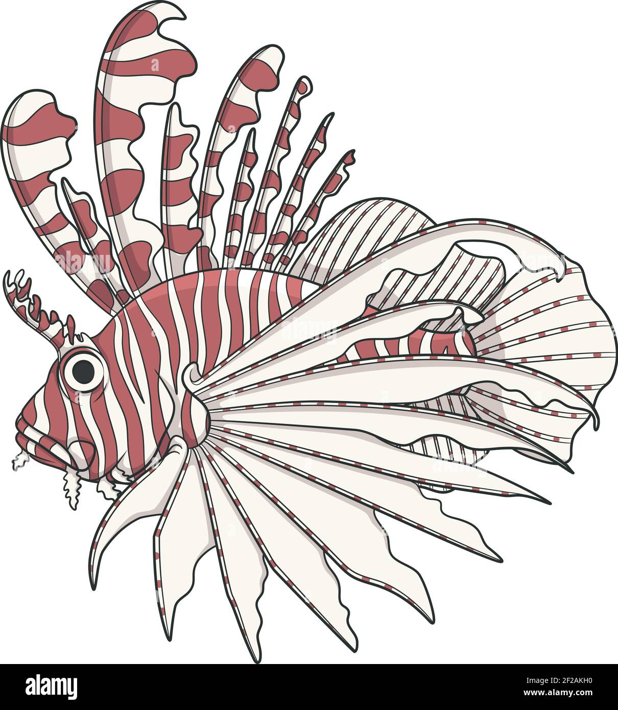 Lionfish d'image couleur. Objets vectoriels sur fond blanc. Illustration de Vecteur
