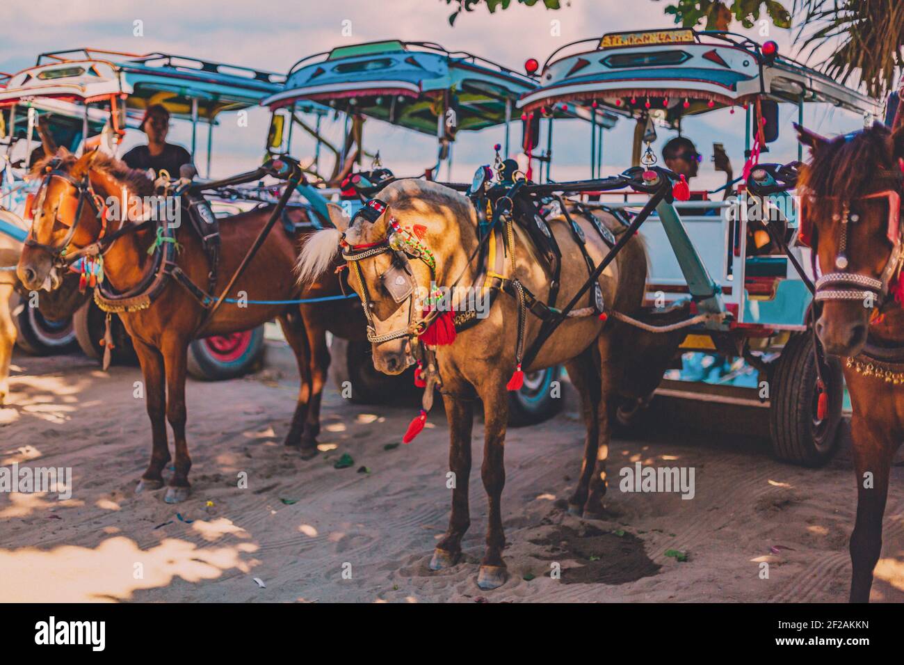GILI AIR, INDONÉSIE - 10 mai 2019: Gili Air Lombok Indonesia Island Living Horse and Cart - belles eaux bleues et couchers de soleil roses Banque D'Images