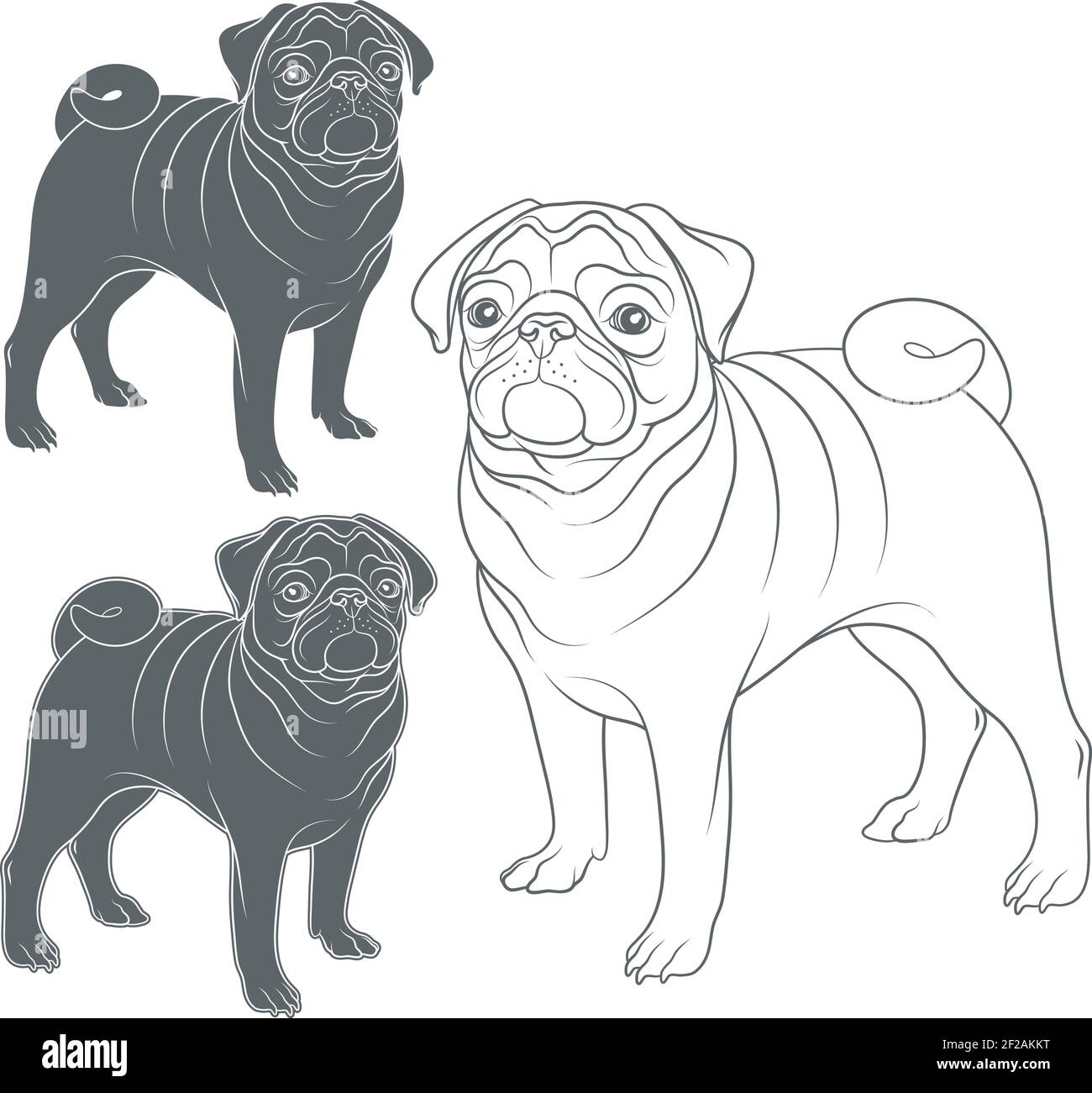 Ensemble d'images vectorielles de PUP. Objets isolés sur fond blanc. Illustration de Vecteur
