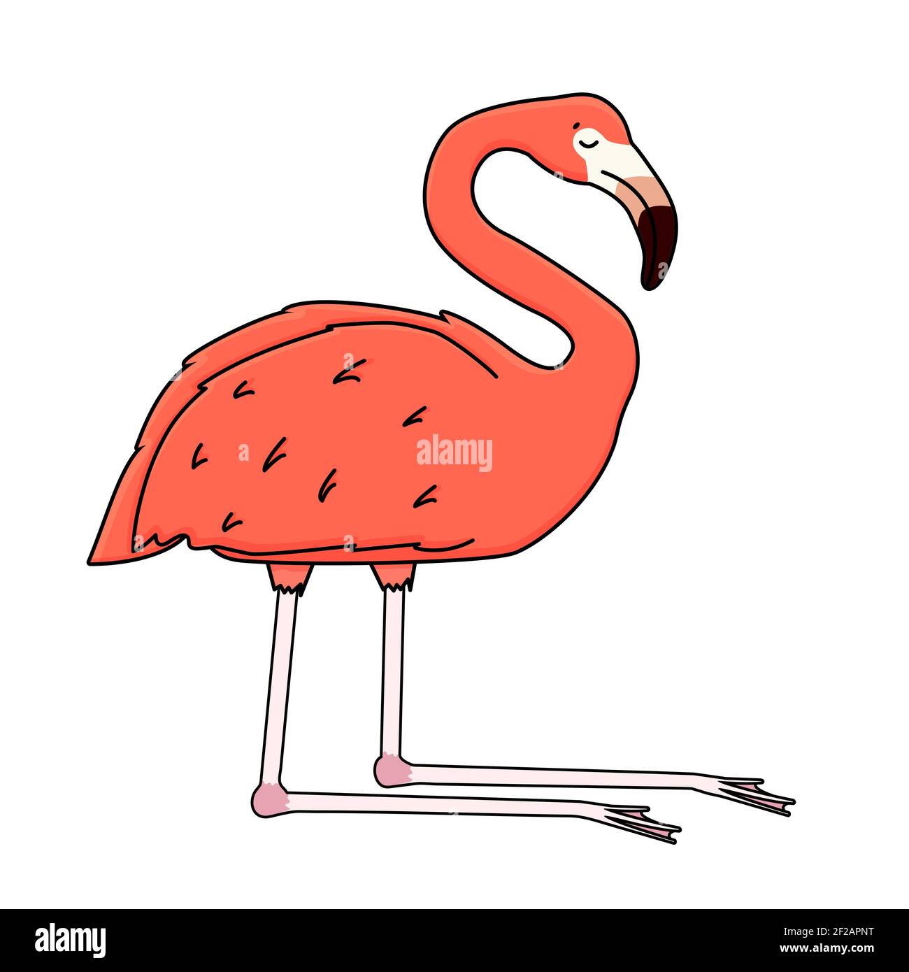 Vector vector dessin animé rose pêche flamant isolé sur fond blanc. Doodle animal dort sur les jambes tordues au niveau des genoux, les yeux fermés Illustration de Vecteur