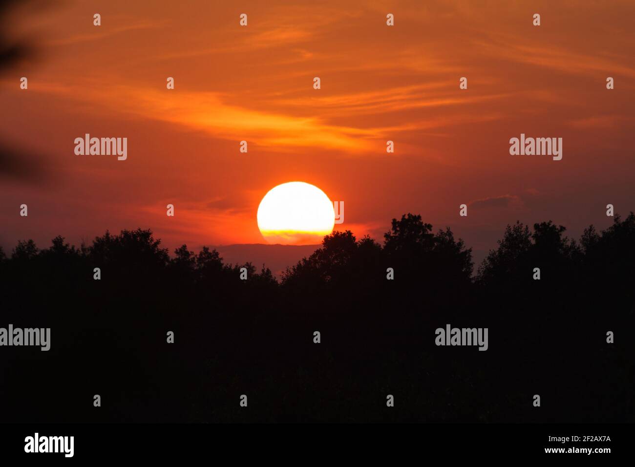 Coucher de soleil - ciel sur feu, cadran solaire, ciel sur feu, ciel rouge, silhouette, arbres, coucher de soleil d'été - le soleil se couche derrière les arbres Banque D'Images