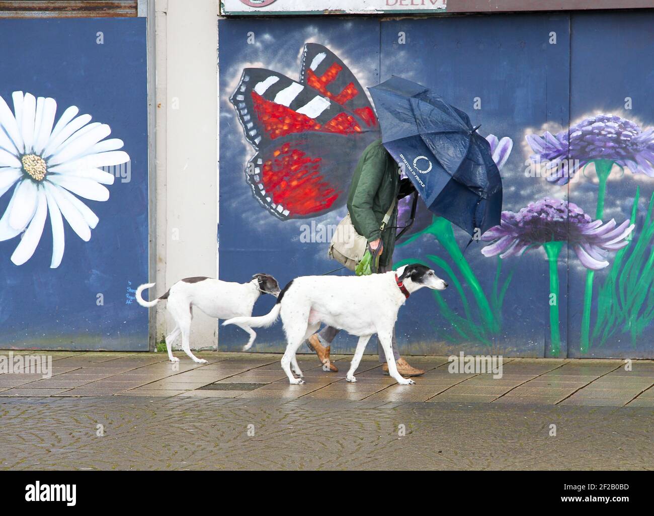 Bangor Co Down Northern, Irlande. 11 mars 2021. Des sorts lumineux et ensoleillés entre de fortes averses sur le front de mer à Bangor crédit: ALAN OLIVER/Alamy Live News Banque D'Images