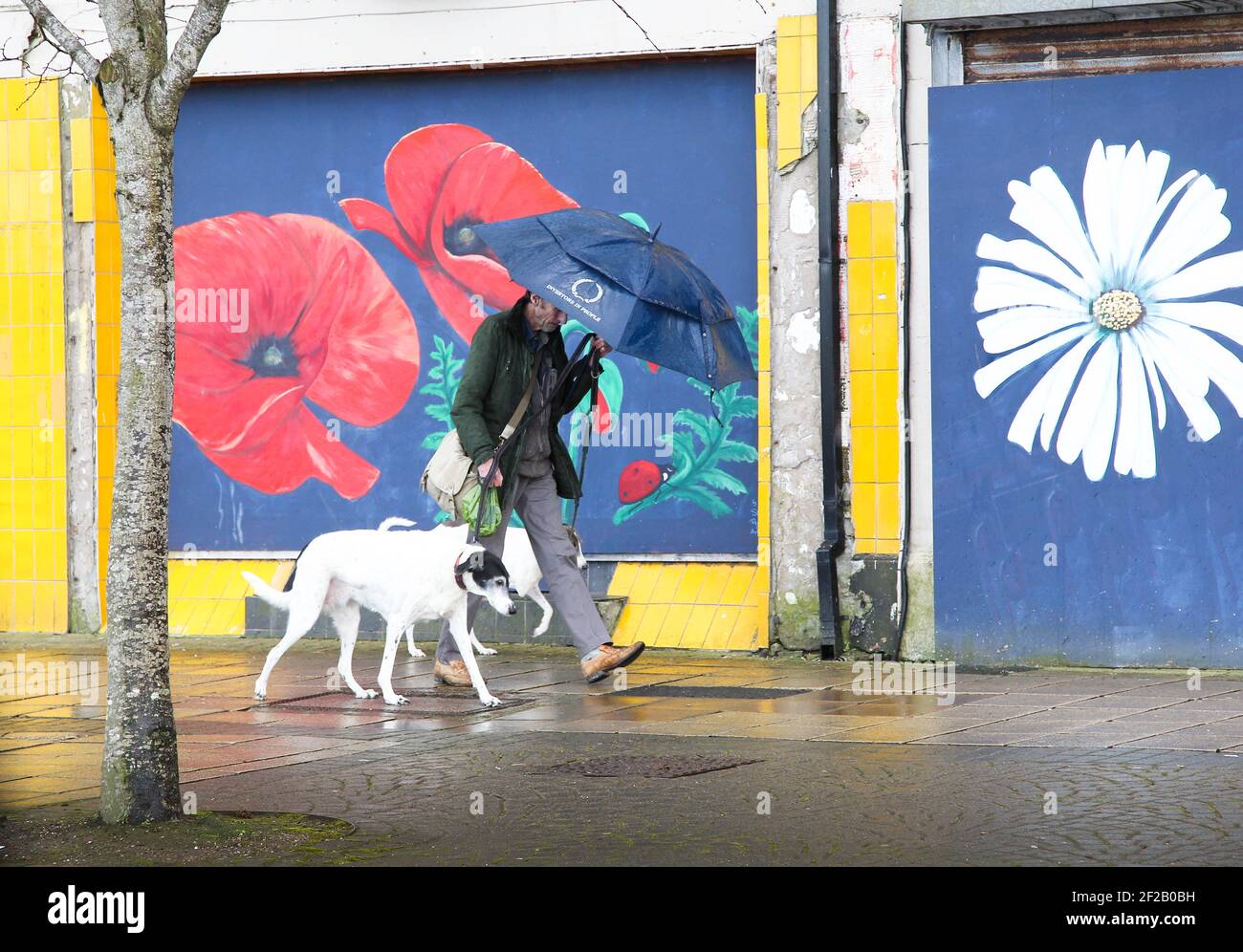Bangor Co Down Northern, Irlande. 11 mars 2021. Des sorts lumineux et ensoleillés entre de fortes averses sur le front de mer à Bangor crédit: ALAN OLIVER/Alamy Live News Banque D'Images