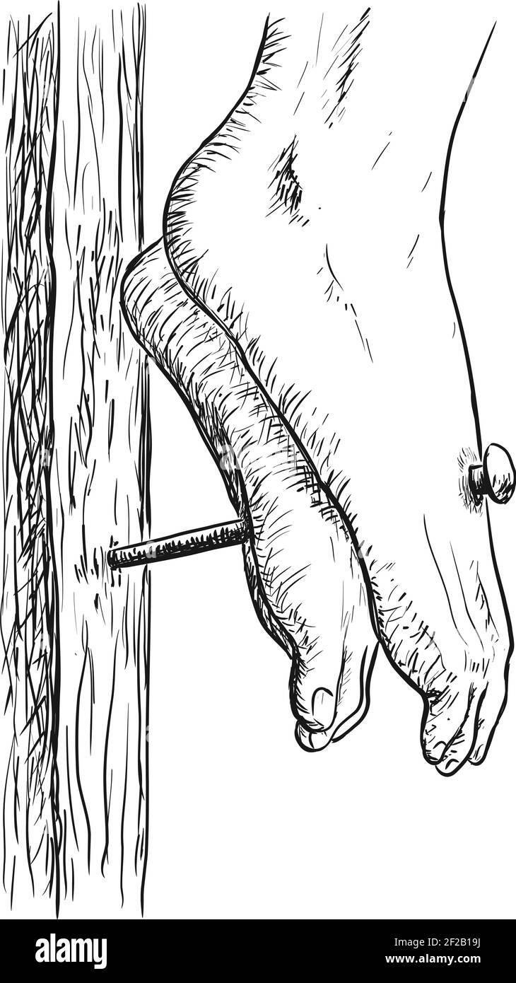 Les pieds de Jésus. Jésus Christ a crucifié sur la croix. Religion chrétienne et catholique. Illustration vectorielle Illustration de Vecteur