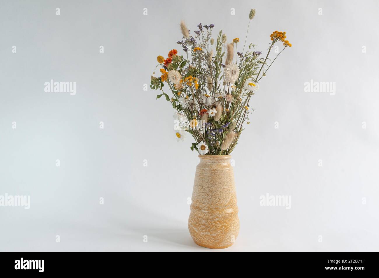 Fleurs colorées séchées dans un vase sur fond blanc. Banque D'Images