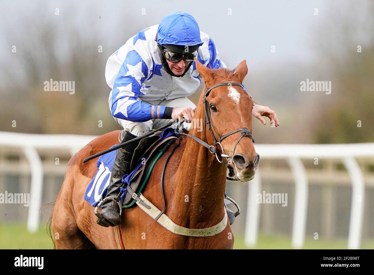 Certainement Red criblé par le jockey Marc Goldstein clairement le dernier à gagner le mansionBet Faller assurance handicap à l'hippodrome de Wincanton. Date de la photo: Jeudi 11 mars 2021. Banque D'Images