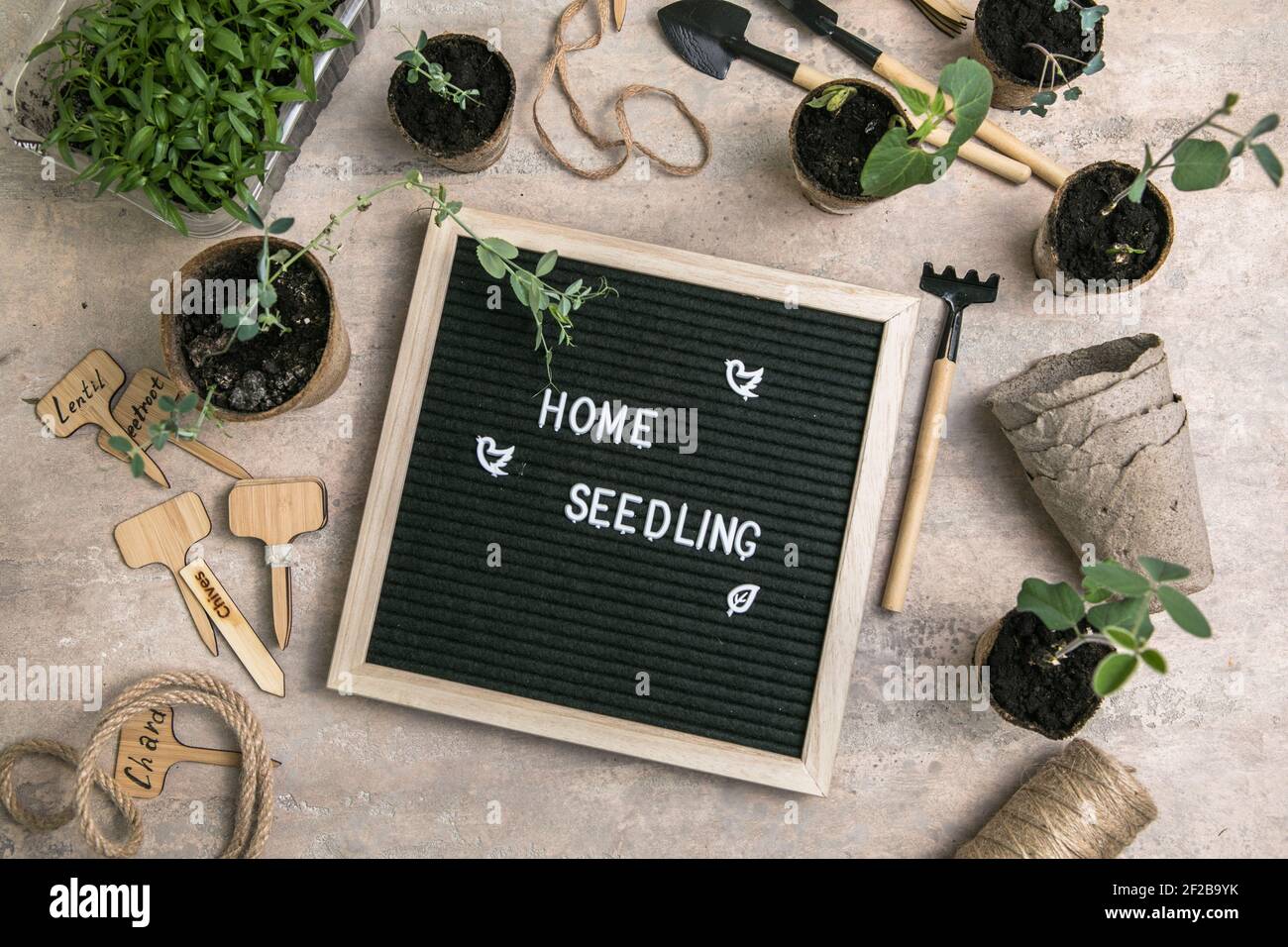 Tableau de lettres avec texte Home semis, Jardinage. Plantation de