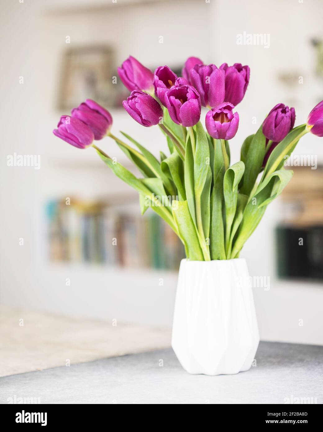 Un bouquet de tulipes lilas dans un vase. Bannière bonjour printemps. Nouvelle saison. Bonjour, Mart. Une carte de vœux. Banque D'Images