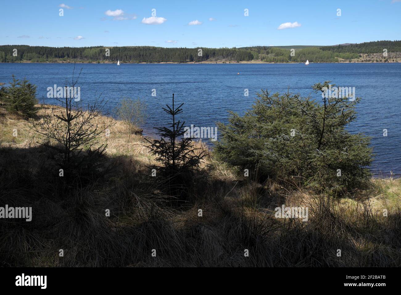 Voile sur Kielder Water, Northumberland un jour de printemps, Angleterre, Royaume-Uni. Banque D'Images