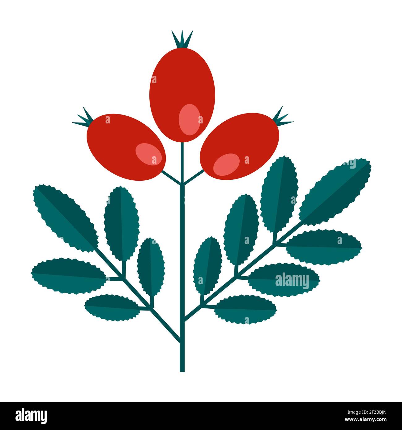Simple branche verte minimaliste d'un dogrose avec des feuilles et des baies rouges. Collection florale de plantes élégantes et colorées pour une décoration de saison. Styli Illustration de Vecteur