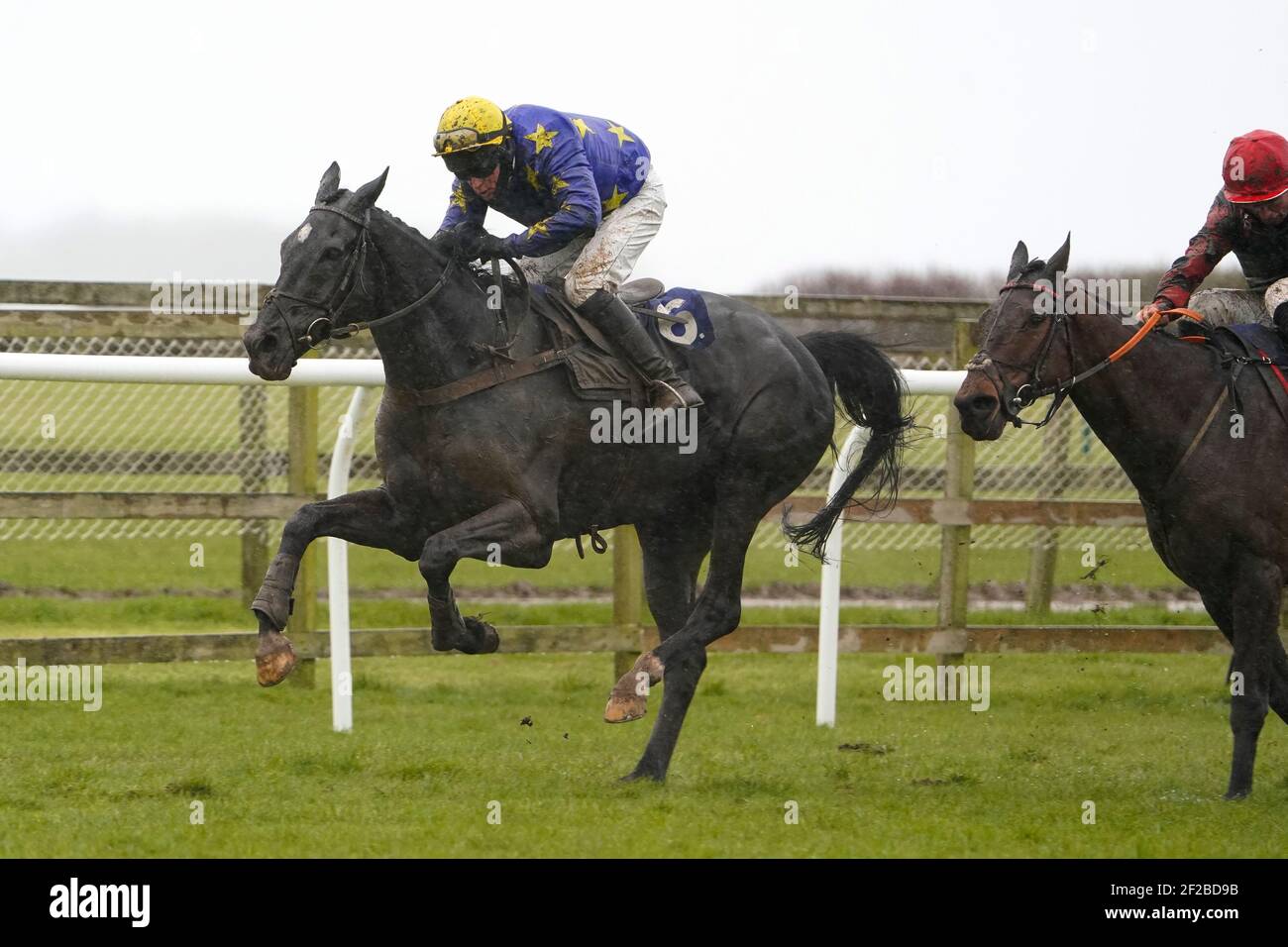 Minella Whisper criblé de jockey Daniel Hiskett clear le dernier à gagner le suivre MansionBet ce Cheltmas novicess' Handicap Chase à l'hippodrome de Wincanton. Date de la photo: Jeudi 11 mars 2021. Banque D'Images