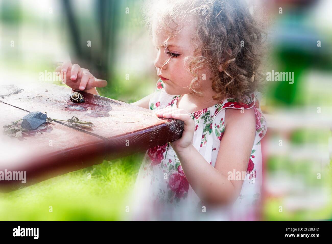 Fille regardant un escargot sur une table Banque D'Images