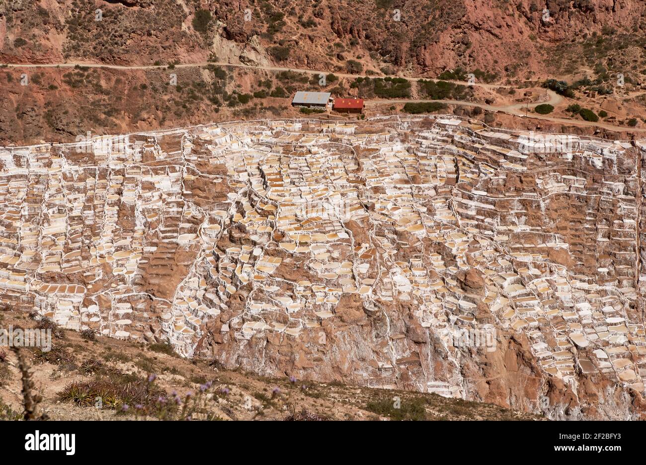 Marmites de sel inca, terrasses de sel et salin de Pichintoto, Salineras de Maras, Vallée Sacrée des Incas, Urubamba près de Cusco, Pérou Banque D'Images