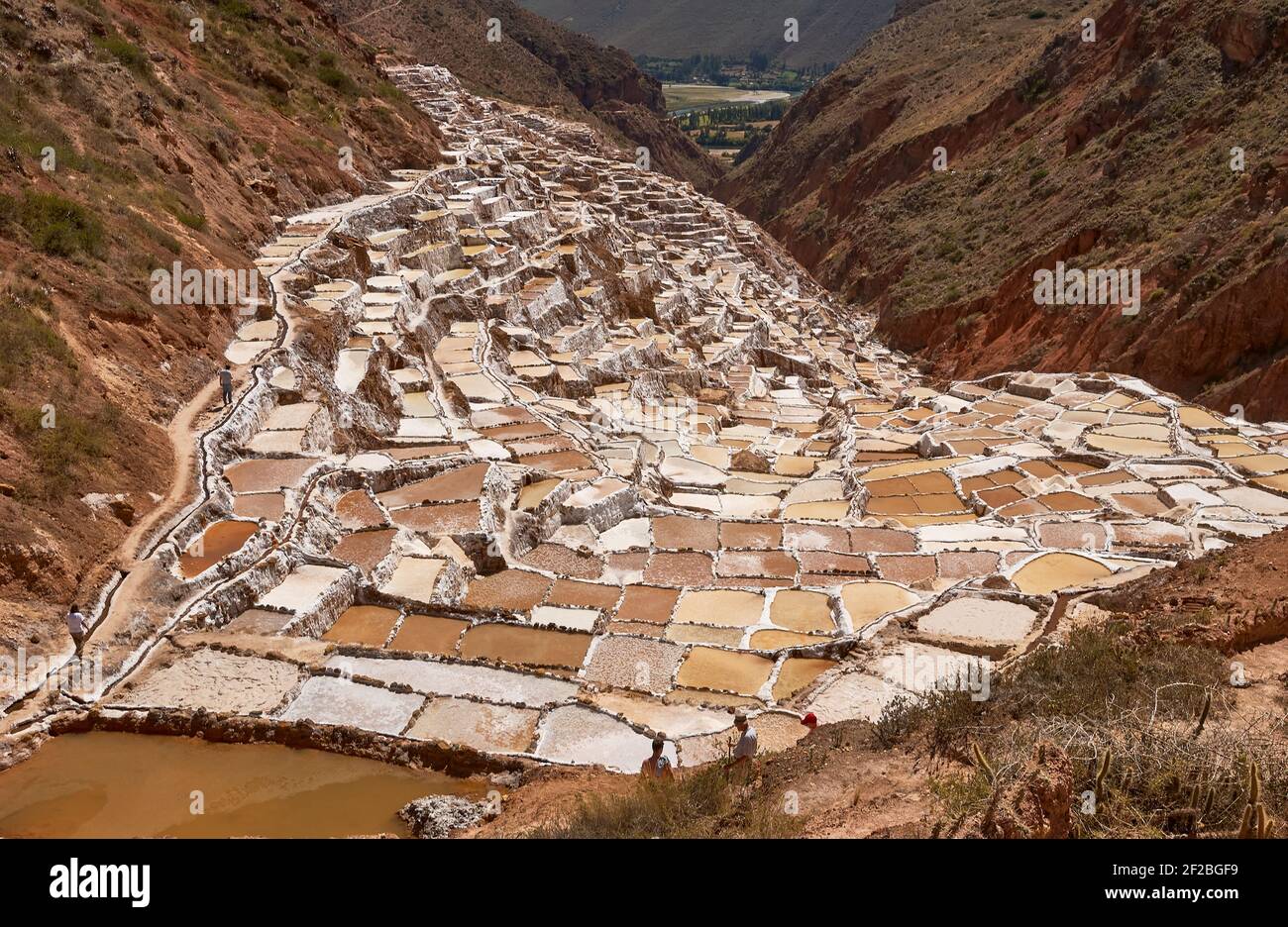 Marmites de sel inca, terrasses de sel et salin de Pichintoto, Salineras de Maras, Vallée Sacrée des Incas, Urubamba près de Cusco, Pérou Banque D'Images