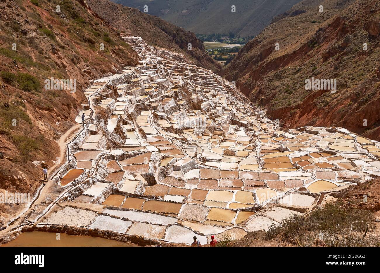 Marmites de sel inca, terrasses de sel et salin de Pichintoto, Salineras de Maras, Vallée Sacrée des Incas, Urubamba près de Cusco, Pérou Banque D'Images