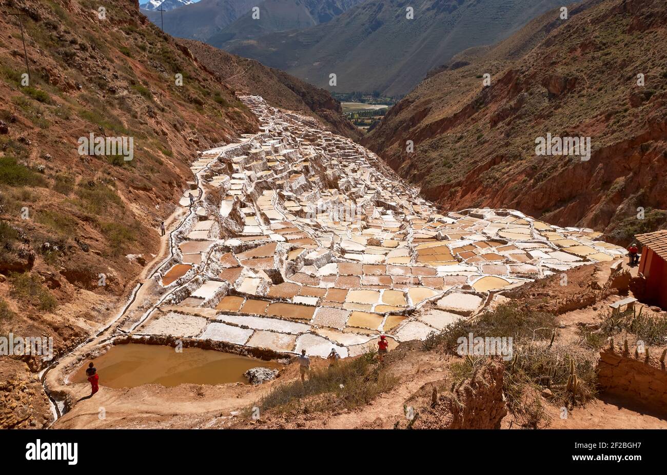 Marmites de sel inca, terrasses de sel et salin de Pichintoto, Salineras de Maras, Vallée Sacrée des Incas, Urubamba près de Cusco, Pérou Banque D'Images