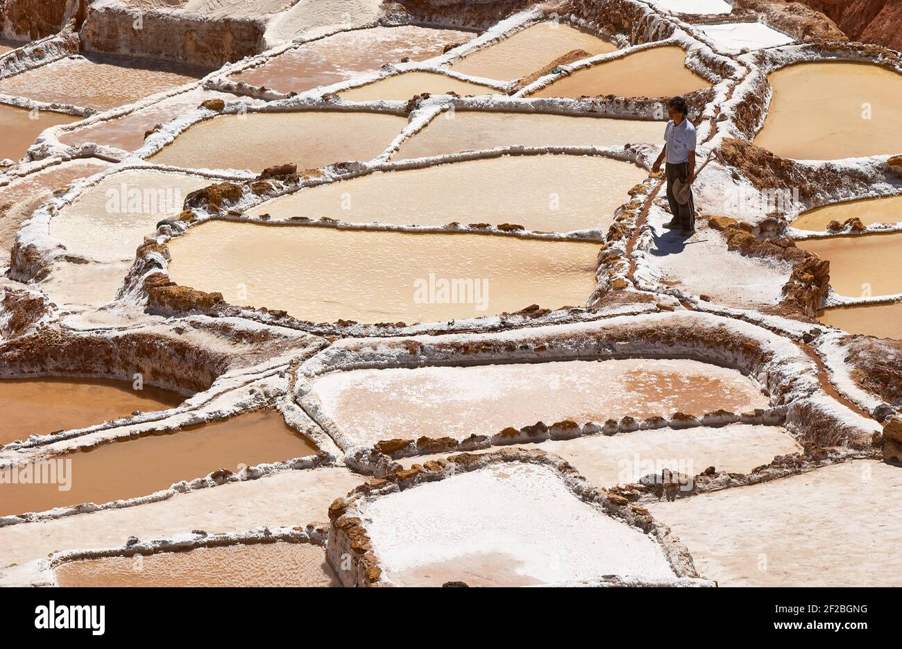 Marmites de sel inca, terrasses de sel et salin de Pichintoto, Salineras de Maras, Vallée Sacrée des Incas, Urubamba près de Cusco, Pérou Banque D'Images