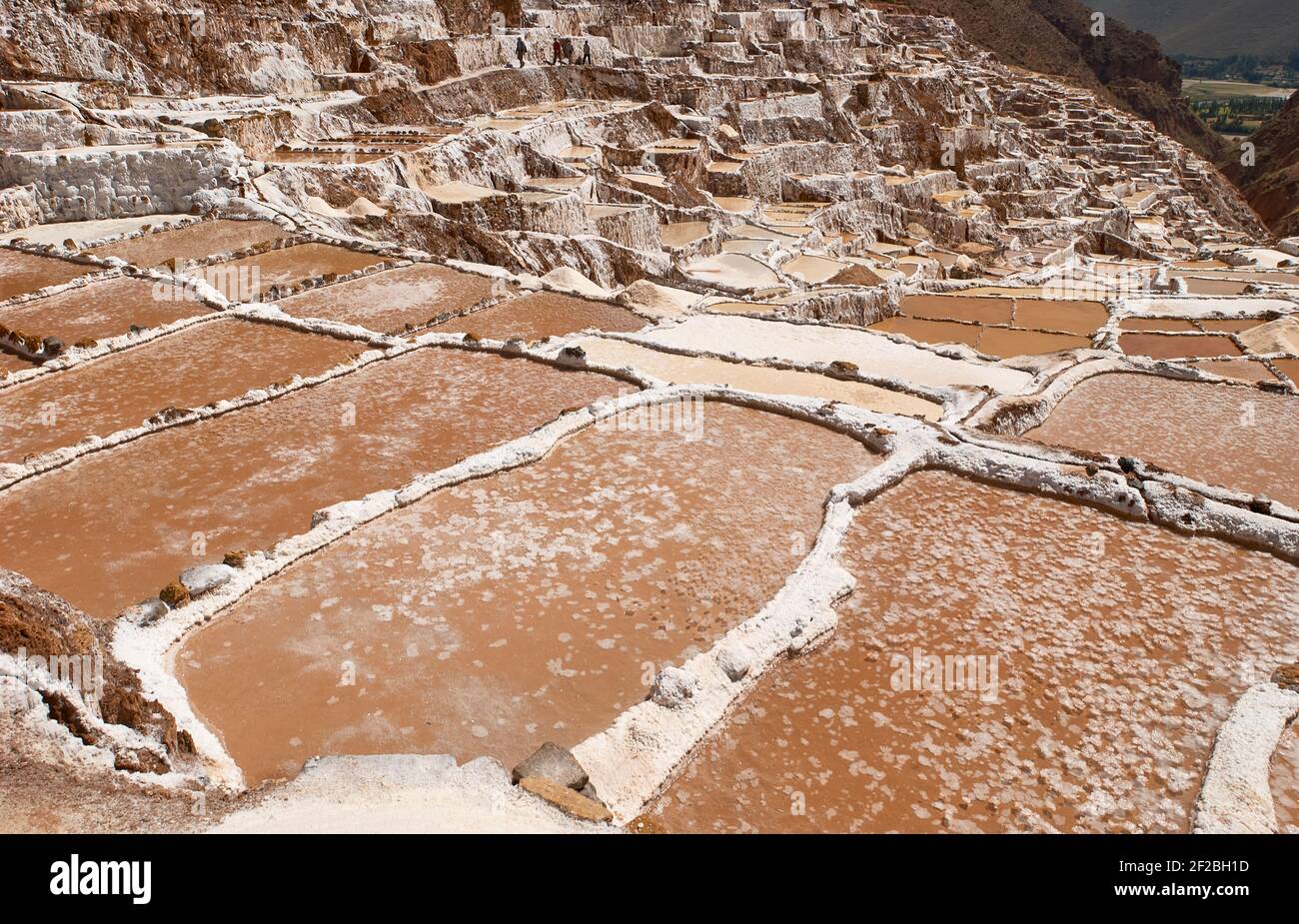 Marmites de sel inca, terrasses de sel et salin de Pichintoto, Salineras de Maras, Vallée Sacrée des Incas, Urubamba près de Cusco, Pérou Banque D'Images