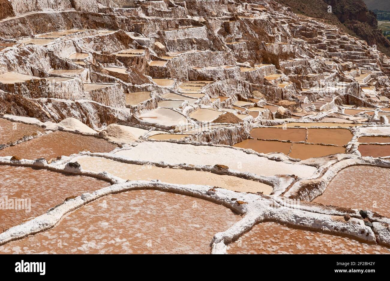 Marmites de sel inca, terrasses de sel et salin de Pichintoto, Salineras de Maras, Vallée Sacrée des Incas, Urubamba près de Cusco, Pérou Banque D'Images