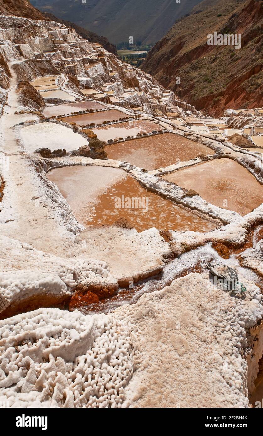 Marmites de sel inca, terrasses de sel et salin de Pichintoto, Salineras de Maras, Vallée Sacrée des Incas, Urubamba près de Cusco, Pérou Banque D'Images