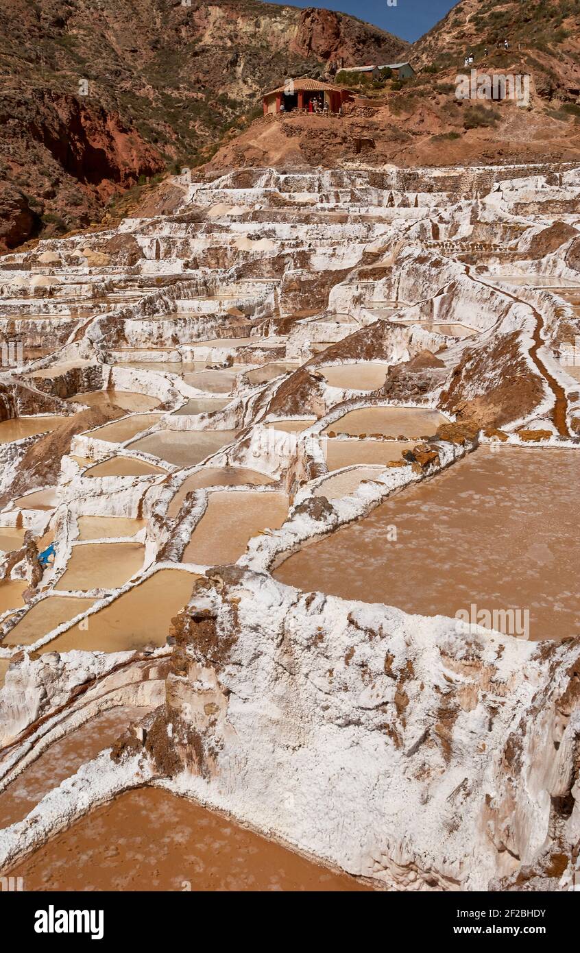 Marmites de sel inca, terrasses de sel et salin de Pichintoto, Salineras de Maras, Vallée Sacrée des Incas, Urubamba près de Cusco, Pérou Banque D'Images
