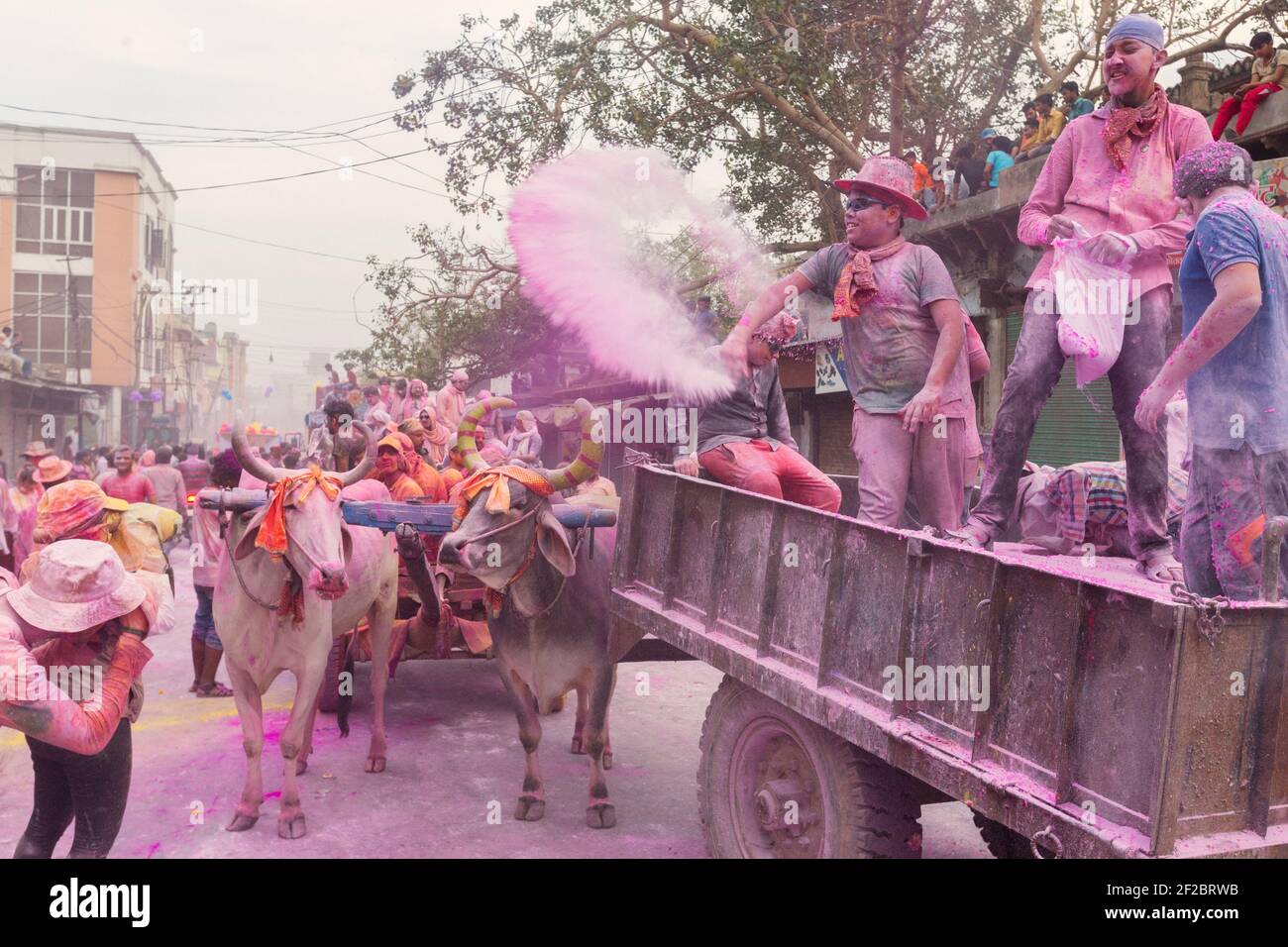 Inde, Mathura - les dévotés jettent de la poudre colorée les uns sur les autres et dansent dans la procession Holi à Mathura. Banque D'Images