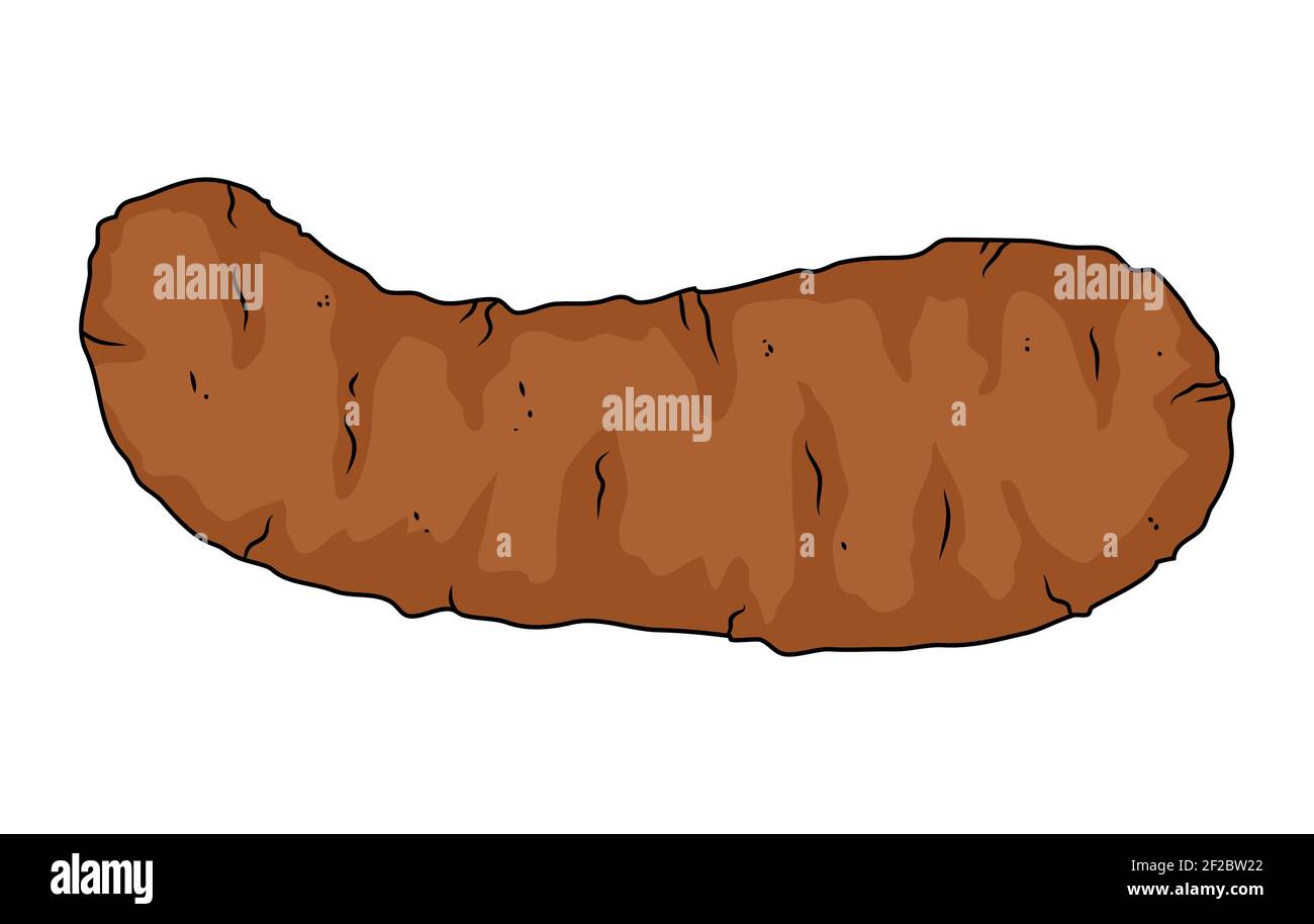 Clip-art de poo de fèces Icône de tabouret d'homme ou de chien isolée sur blanc. Illustration de dessin animé vectoriel. Illustration de Vecteur