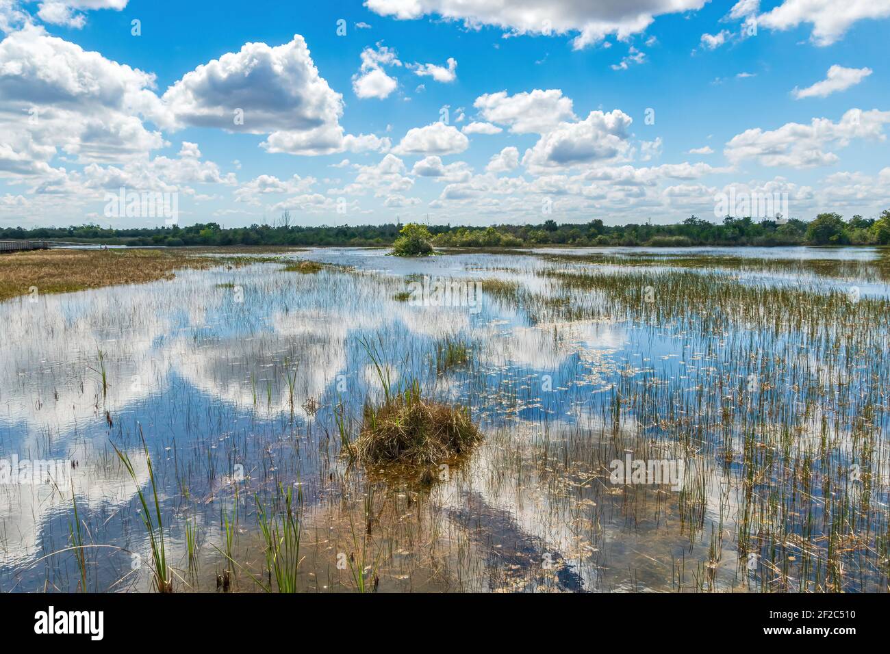 Terres humides de la réserve naturelle de Chapel Trail, avec le ciel reflété dans l'eau - Pembroke Pines, Floride, États-Unis Banque D'Images