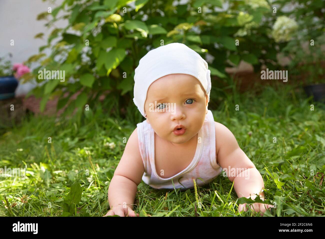 Portrait de plein air d'un bébé à quatre pattes. de ramper sur les genoux enfant sur l'herbe dans un parc d'été Banque D'Images