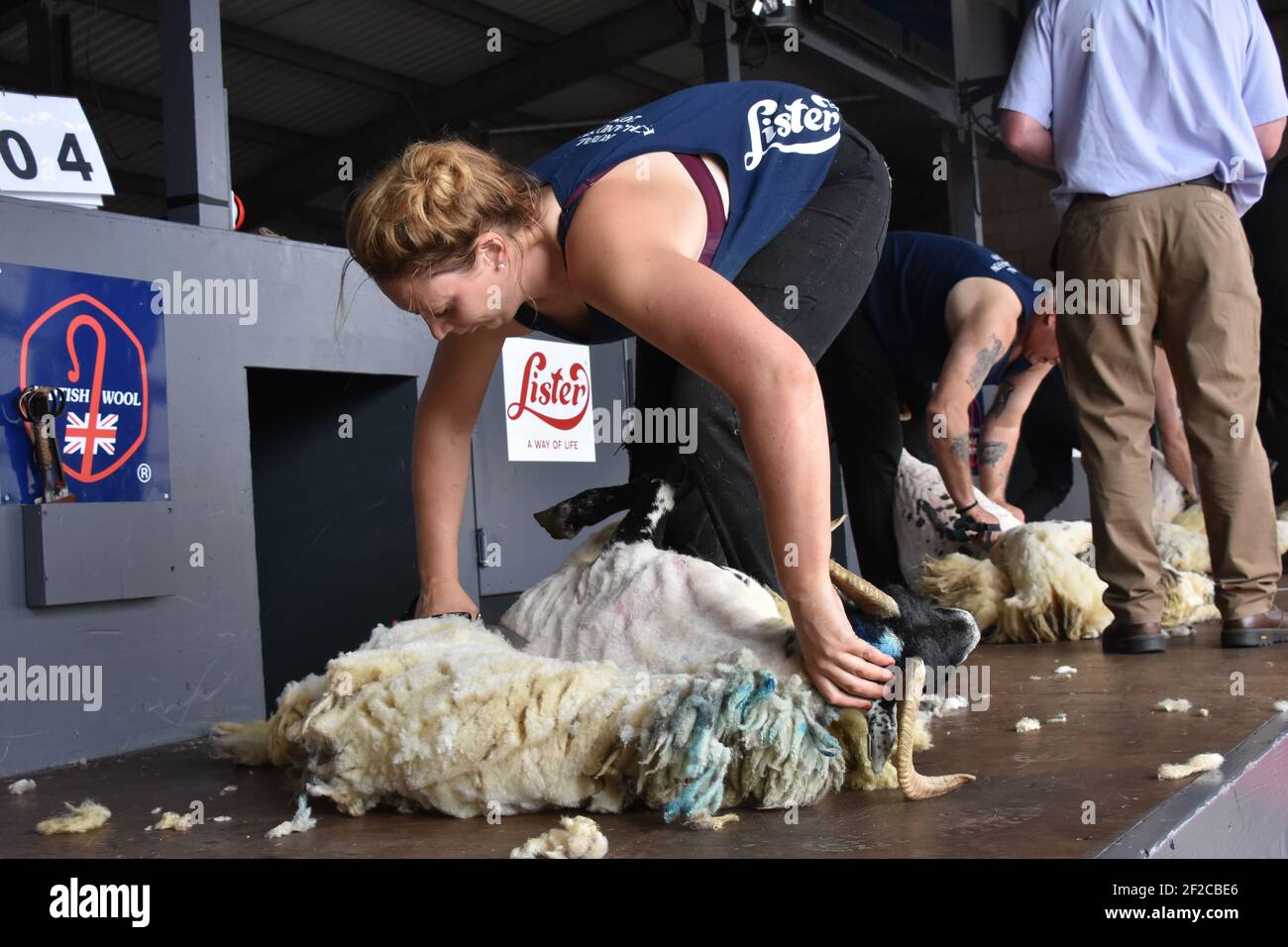 Katie Reid Sheep Sheep Shearing au Royal Highland Show Banque D'Images