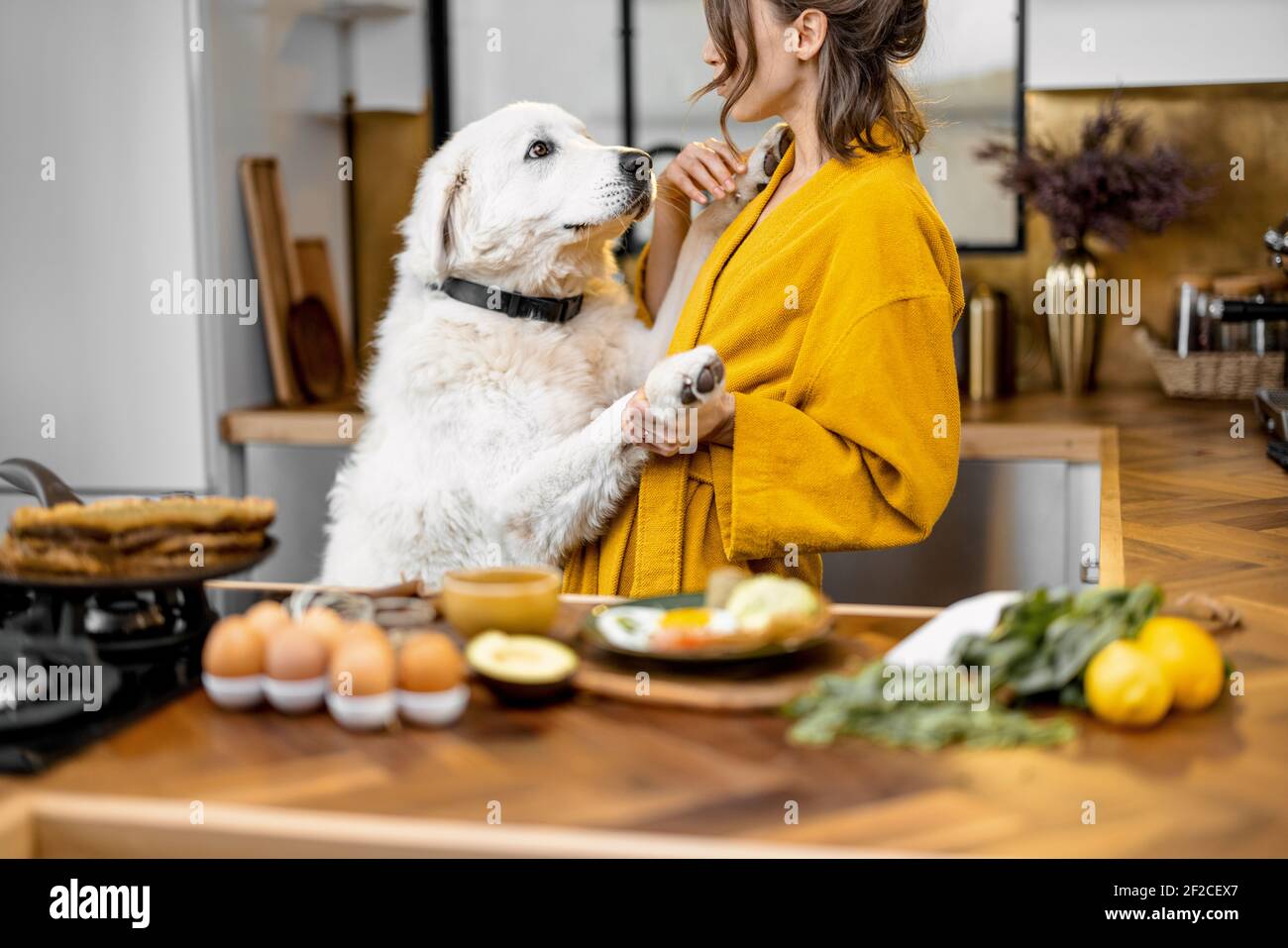 Une jeune femme joue avec son énorme chien blanc tout en ayant un petit-déjeuner pendant une heure du matin sur la cuisine à accueil Banque D'Images